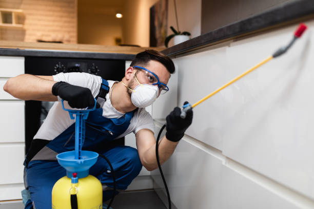 Best Local Pest Control Services  in Walker, LA