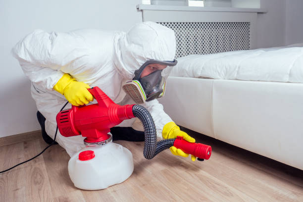 Best Pest Prevention Services  in Walker, LA