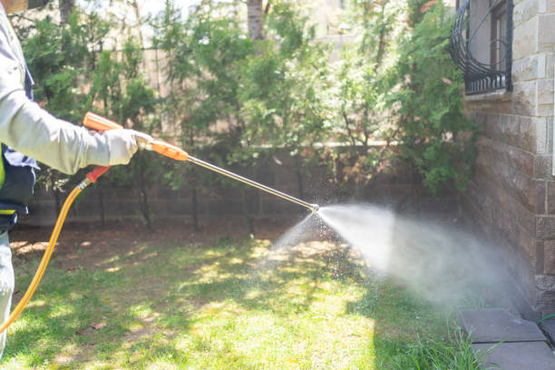 Best Best Pest Control Companies  in Walker, LA