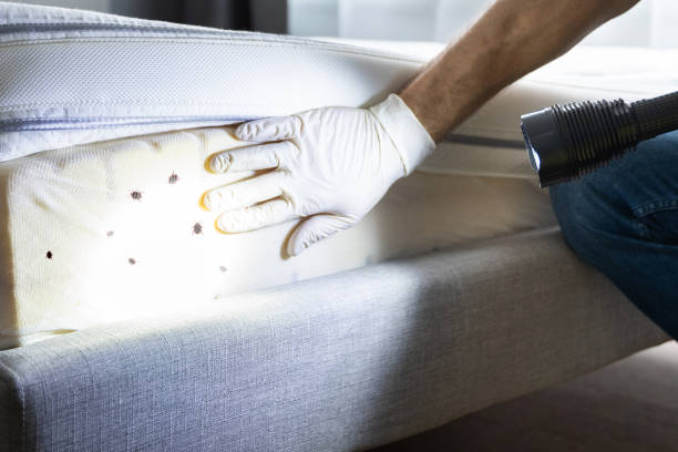 Best Pest Prevention Services  in Walker, LA