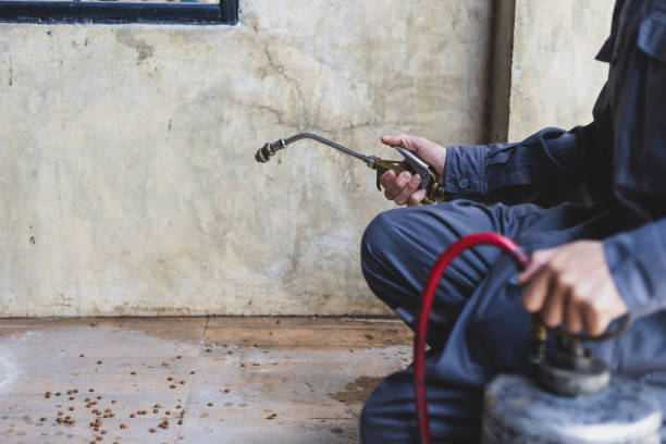 Best Affordable Exterminators  in Walker, LA
